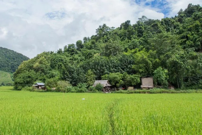 trekking laos dimsum reizen treinreis