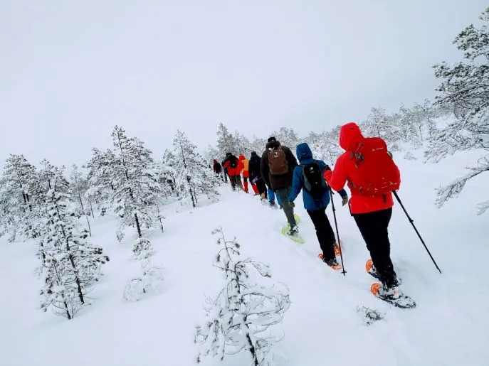 baltische staten estland snowshoeing laheema np actief