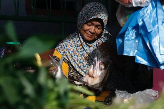 java treinreis dimsum reizen