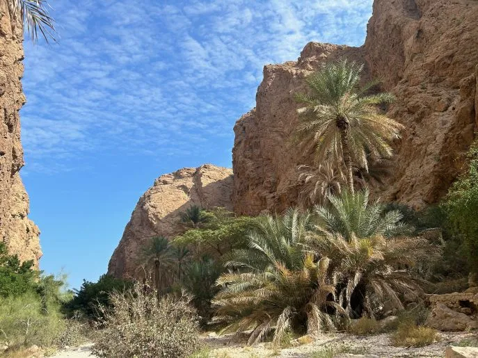 wadi shab oman dimsum reizen 6