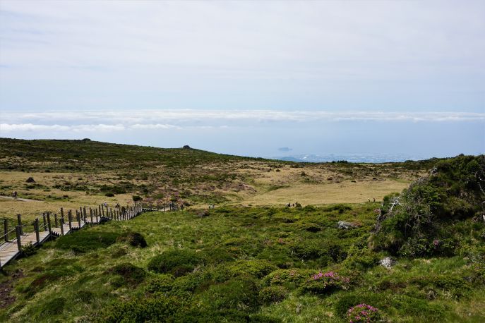 dimsum hoogtepunten reis zuidkorea jeju eiland mt hallasan 1