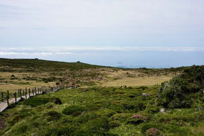 dimsum hoogtepunten reis zuidkorea jeju eiland mt hallasan 1