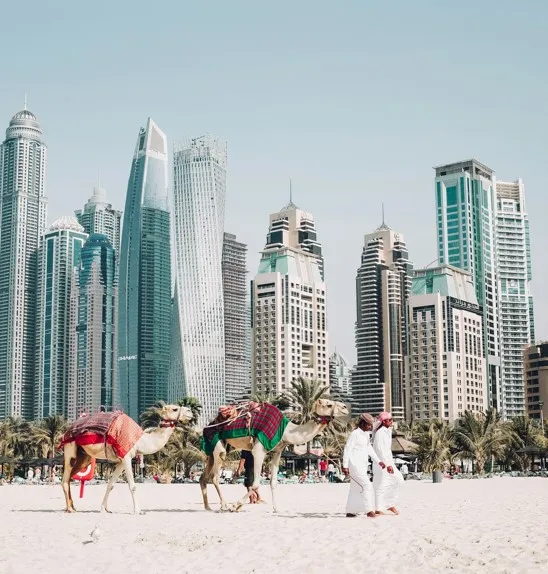 Dubai Woestijn DImsum reizen