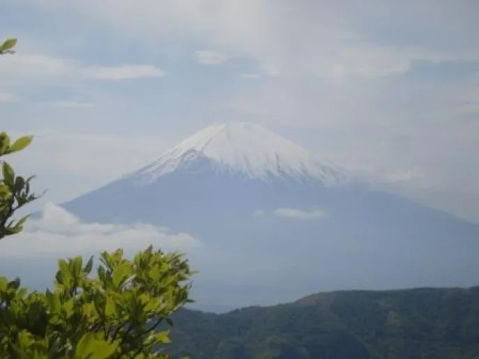 Kawaguchiko-Mt-Fuji