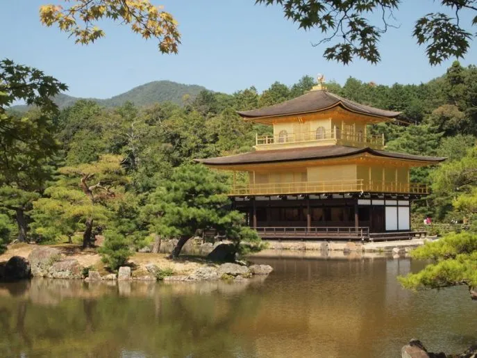 japan kyoto gouden paviljoen dimsum reizen  kopie
