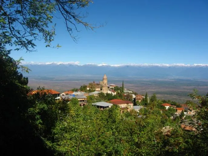 dimsum reizen georgie self drive tour sighnaghi