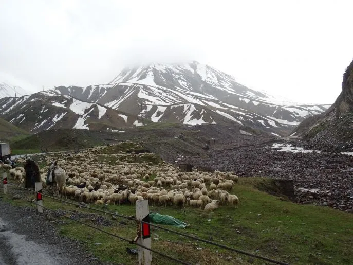 stepantsminda kazbegi 19