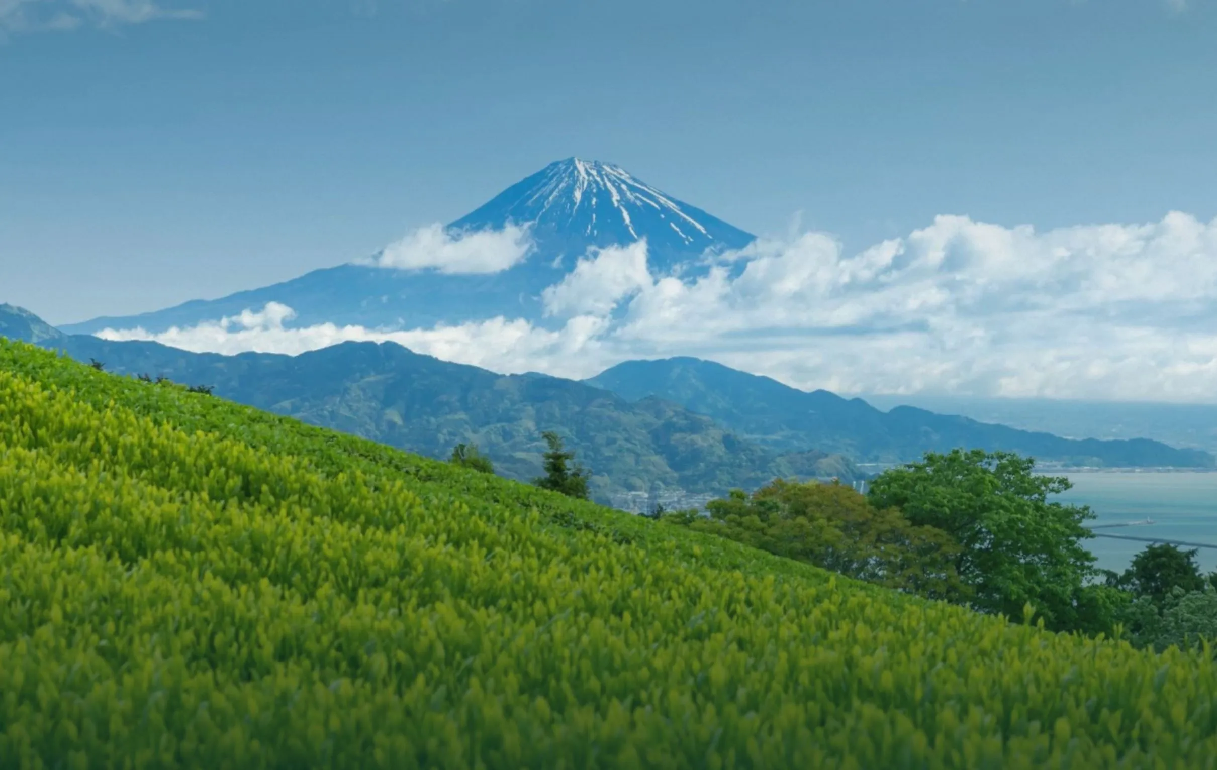 shizuoka-japan-theeregio