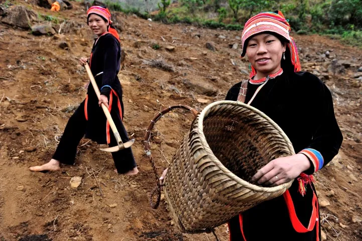 rode-dao-vietnam