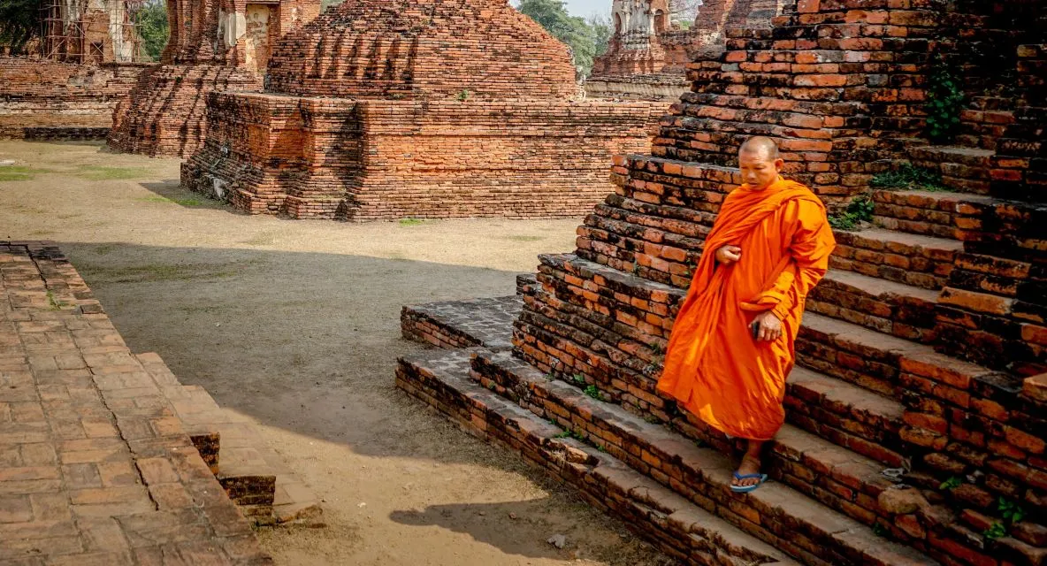 thailand bangkok dimsum hoogtepunt