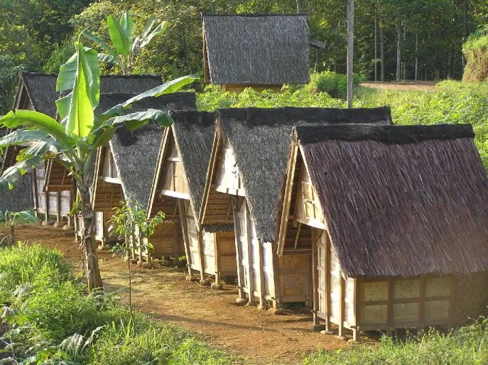 dimsum reizen halimun park java