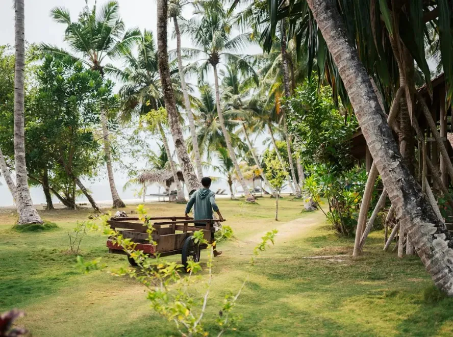 mentawai-eiland-aloita-resort-sumatra-indonesie-tuin