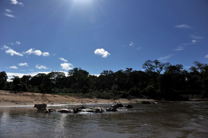 dimsum reizen naar cambodja noord cambodja avontuur in provincie ratanakiri