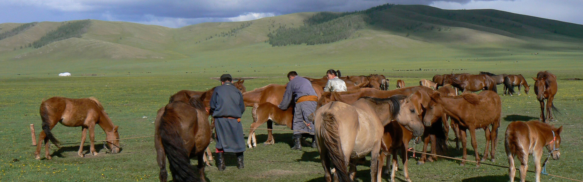 Mongolie avontuur reis