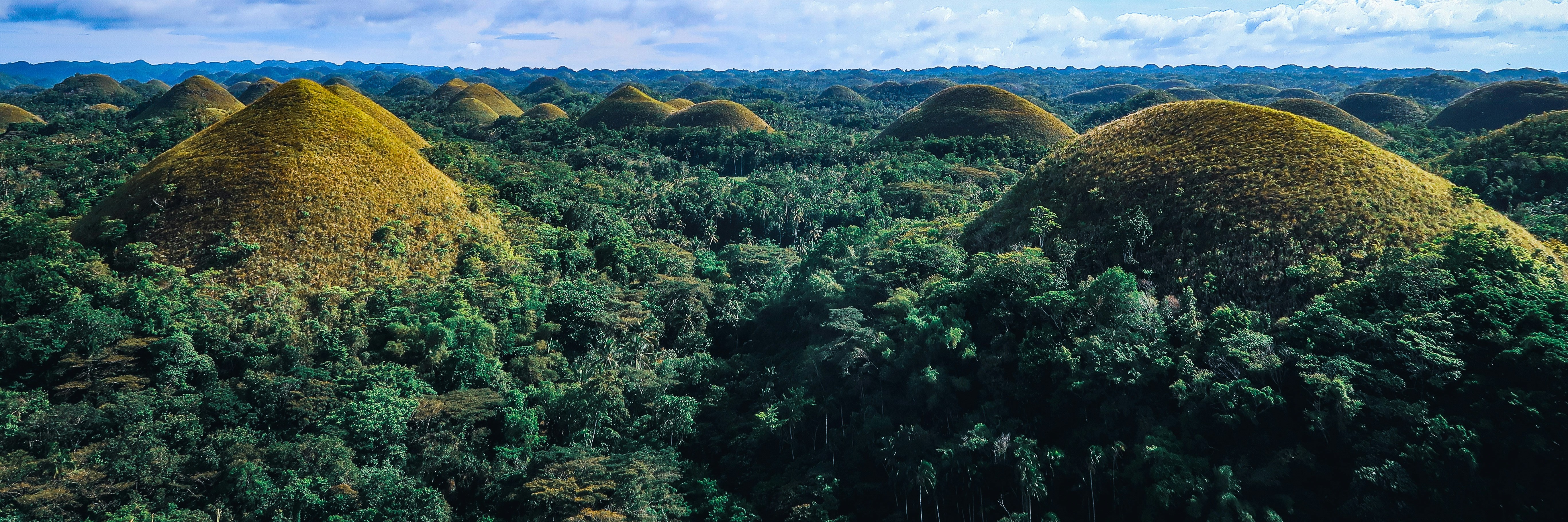 Het mooiste van de Visayas en Palawan