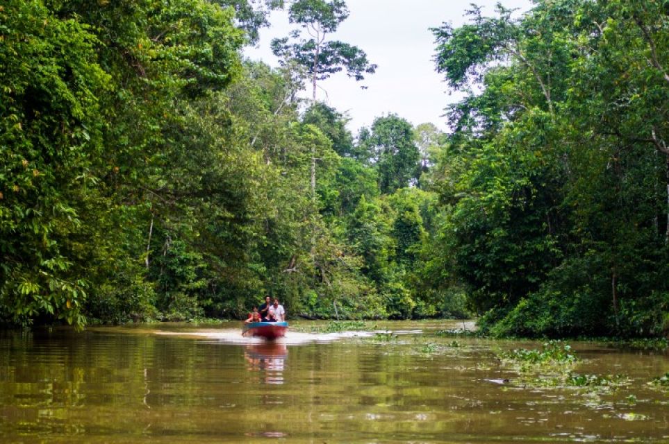 Sfeerafbeelding natuurreis borneo dimsum reizen small