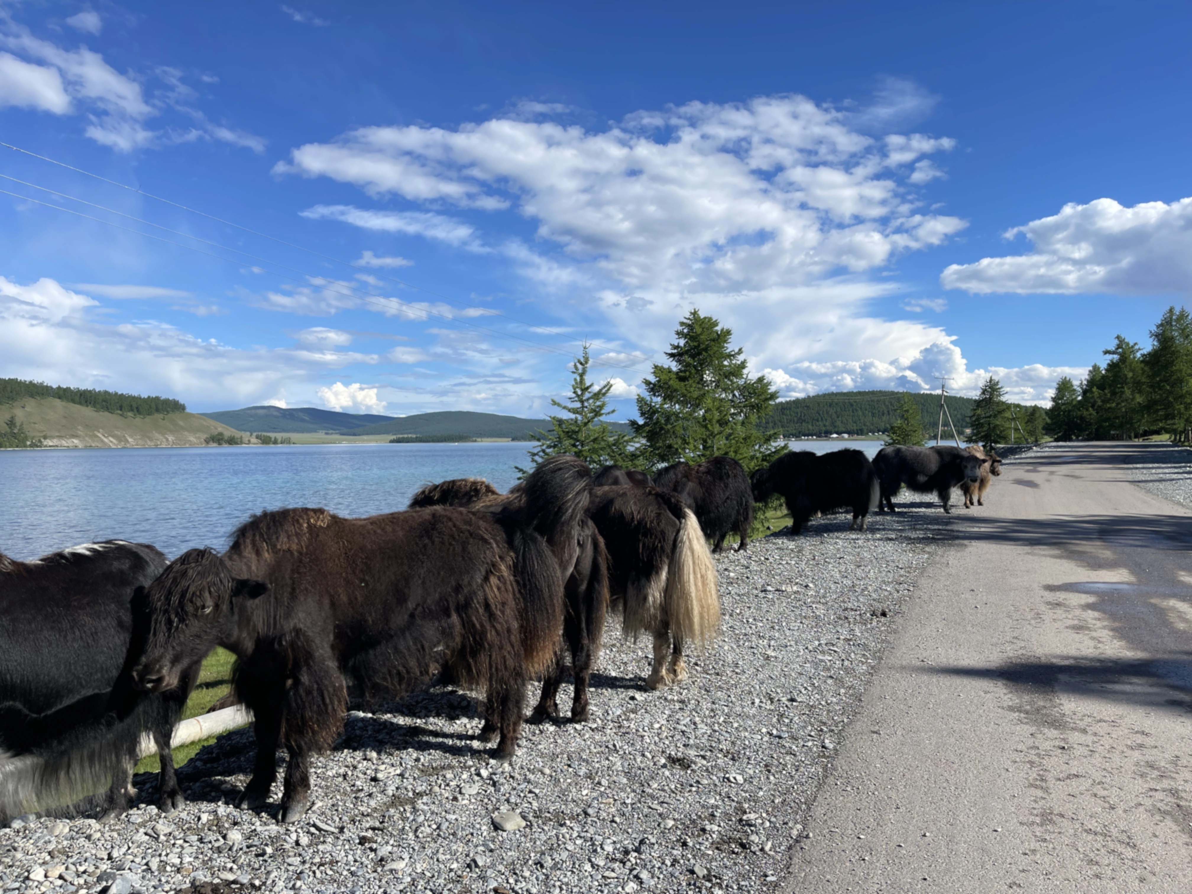 Sfeerafbeelding Mongolië Avontuur Reis