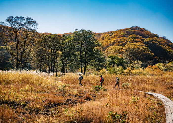 Sfeerafbeelding Japan aciefreis hiking wandelen