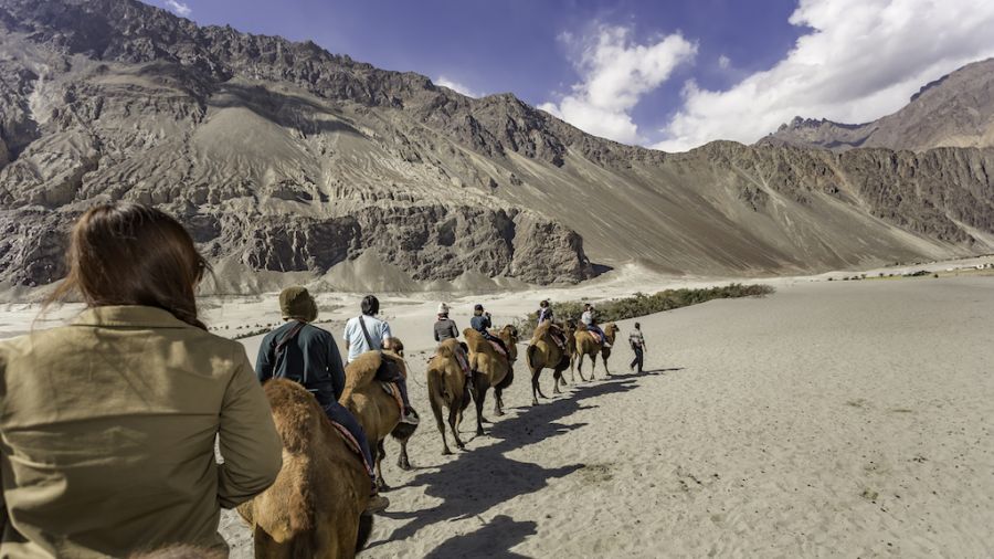 Sfeerafbeelding nubra vallei india kamelensafari