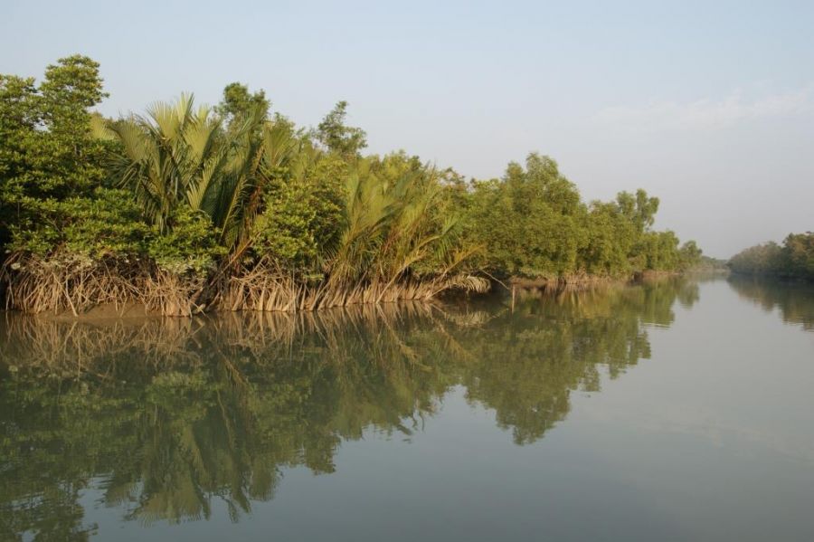 Sfeerafbeelding sundarbans