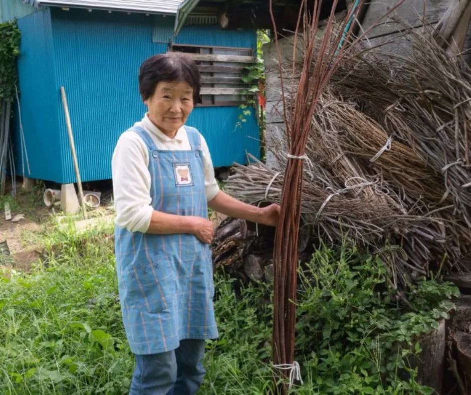 Sfeerafbeelding IIyama nagano groot