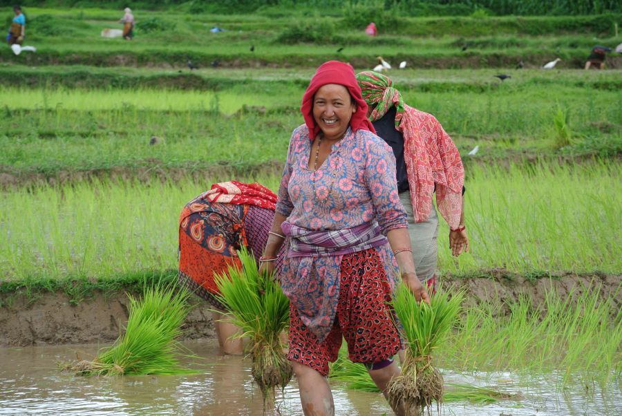 Sfeerafbeelding dimsum reizen nepal homestay reis 