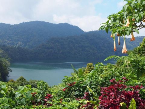 Sfeerafbeelding negros oriental filipijnen