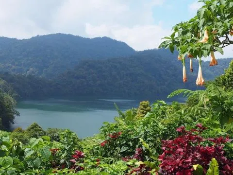 Sfeerafbeelding negros oriental filipijnen