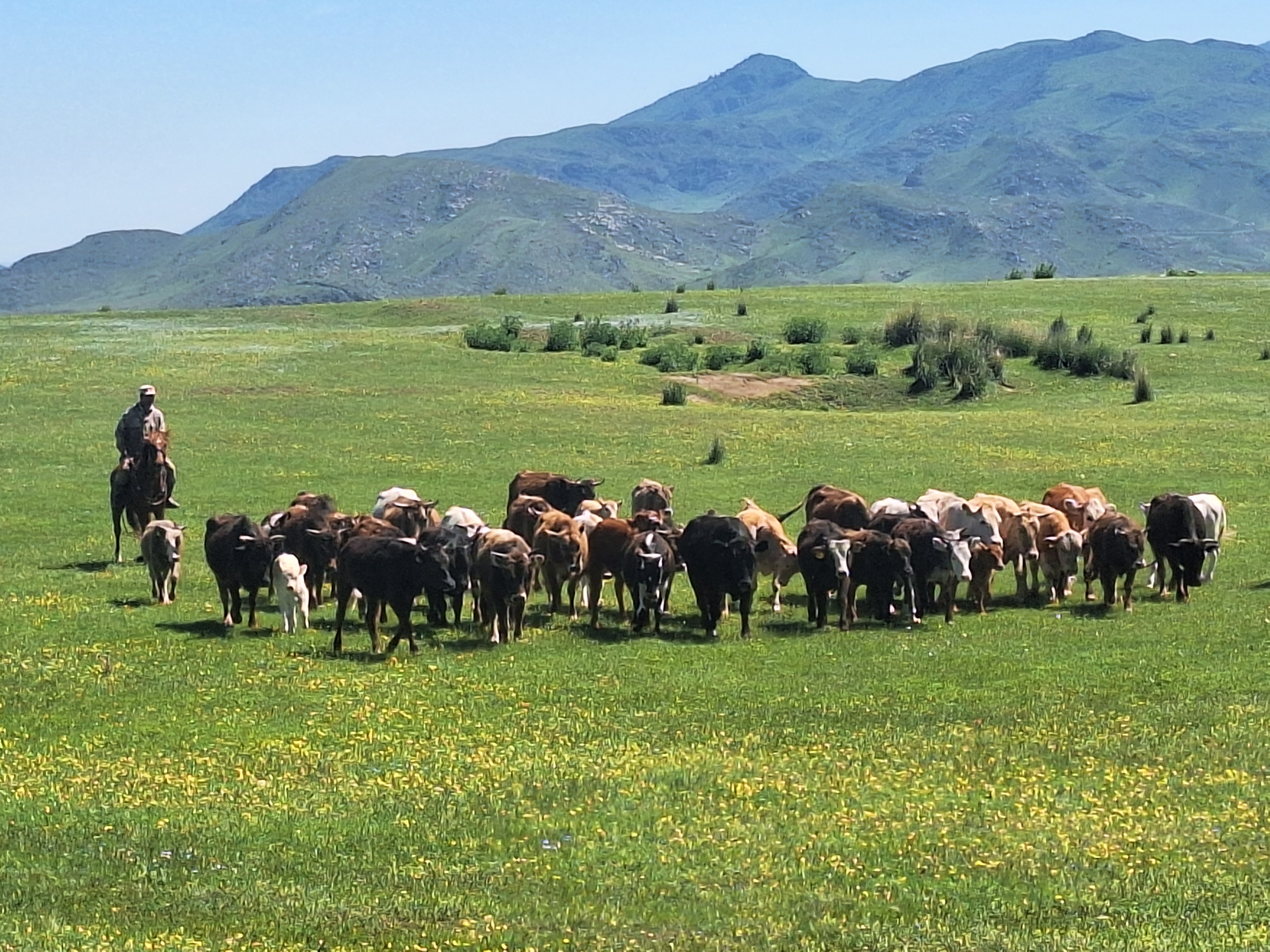 Sfeerafbeelding Kazachstan-Natuurreis