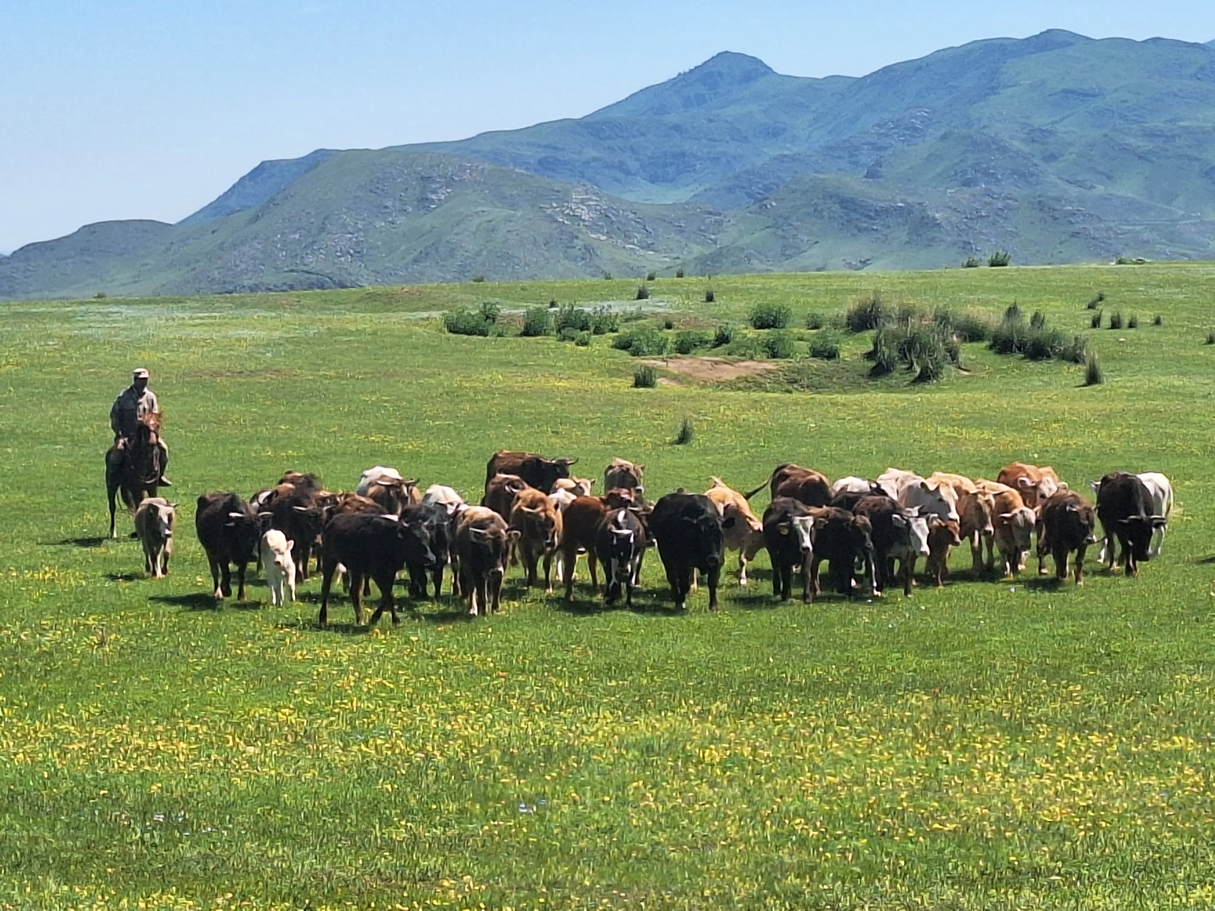 Sfeerafbeelding Kazachstan-Natuurreis