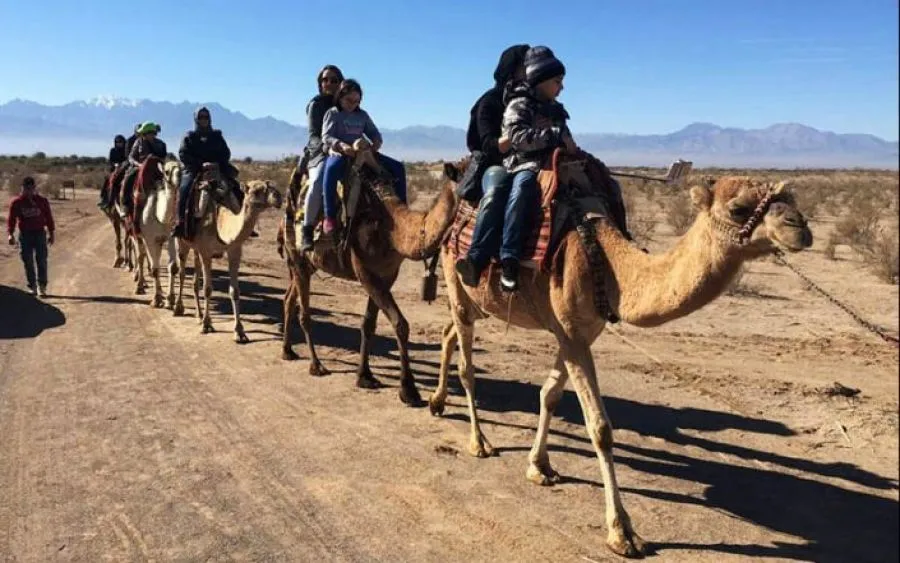 Sfeerafbeelding kameelrijden matinabad