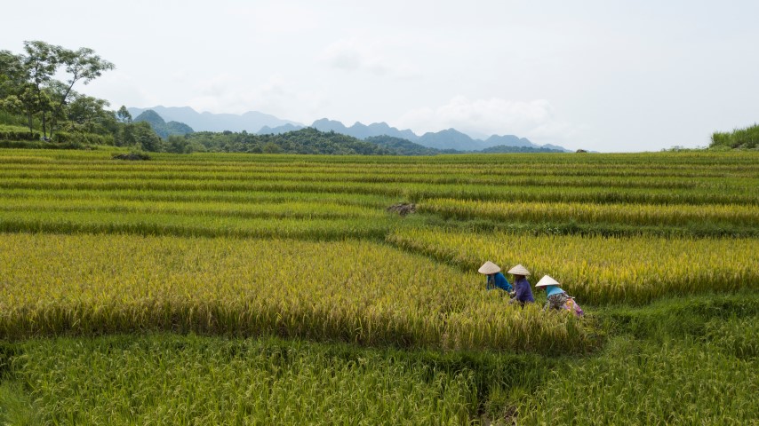 Sfeerafbeelding pu-luong-tam-coc-rondreis-vietnam