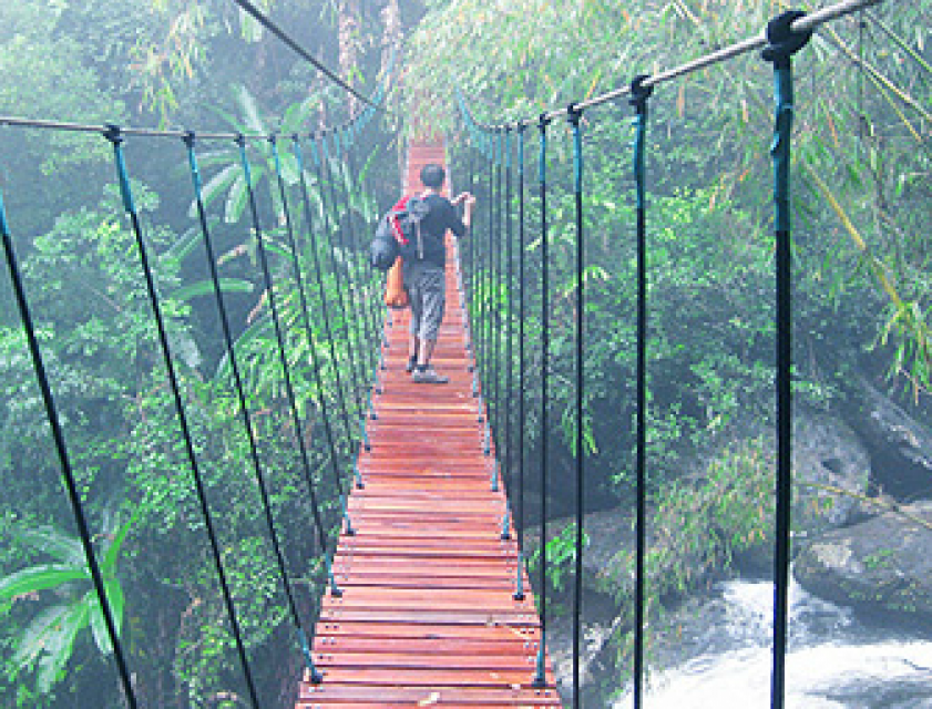 Sfeerafbeelding dimsum reizen laos treetop explorer 2 2