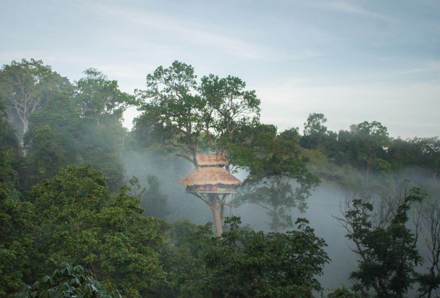 Sfeerafbeelding dimsum reizen laos gibbon experience 2