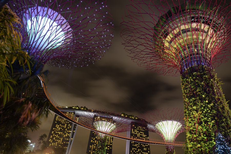 Sfeerafbeelding dimsum reizen singapore
