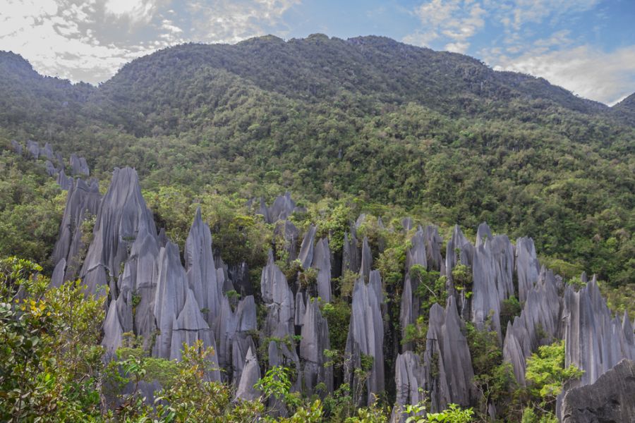 Sfeerafbeelding dimsum reizen borneo mulu pinnacles en headhunters trail