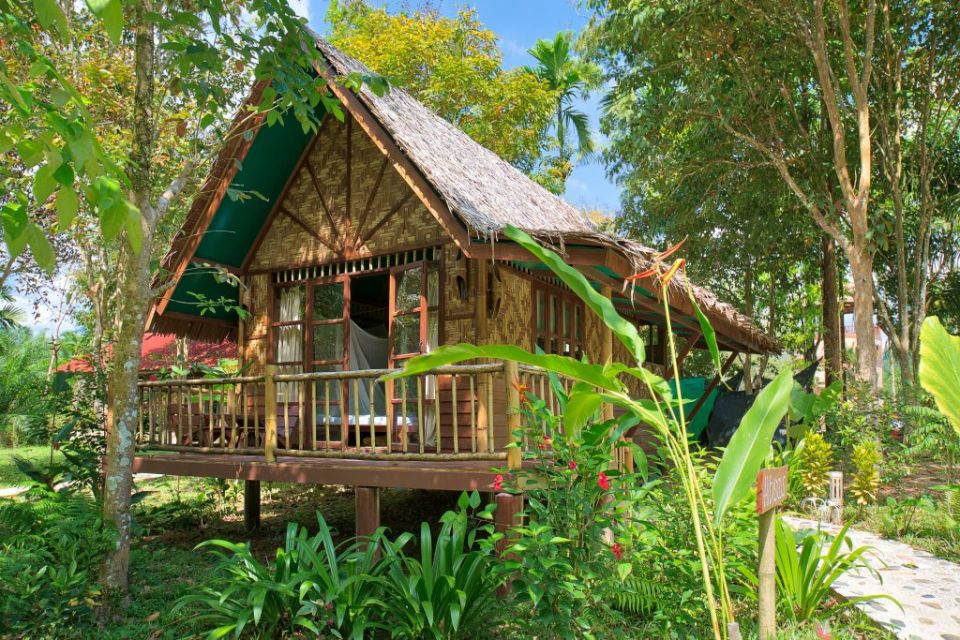 Sfeerafbeelding our jungle camp khao sok
