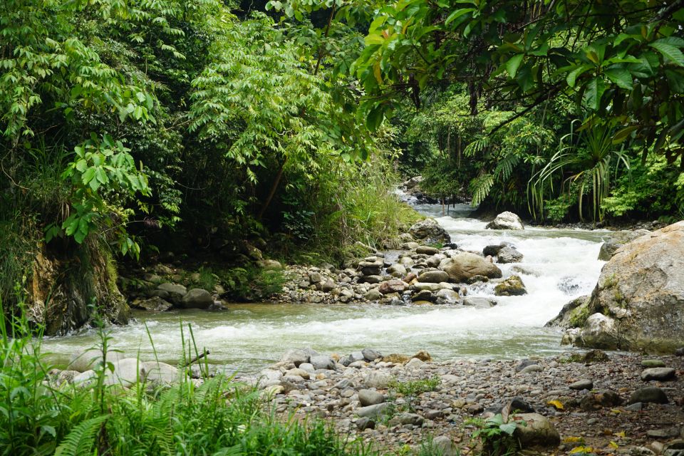 Sfeerafbeelding dimsum reizen sumatra trekking gunung leuser np