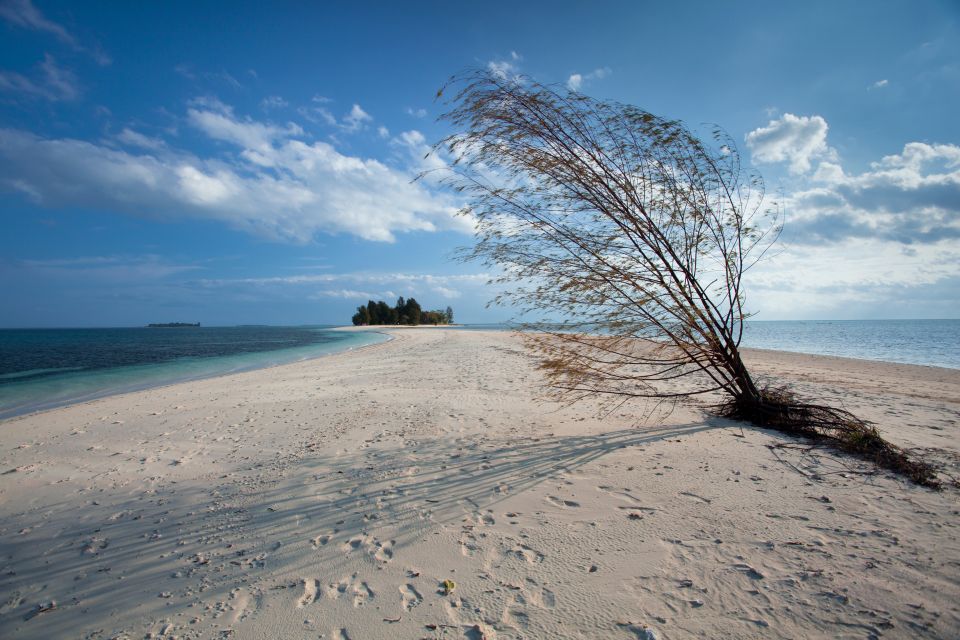 Sfeerafbeelding dimsum reizen halmahera dodola beach 2