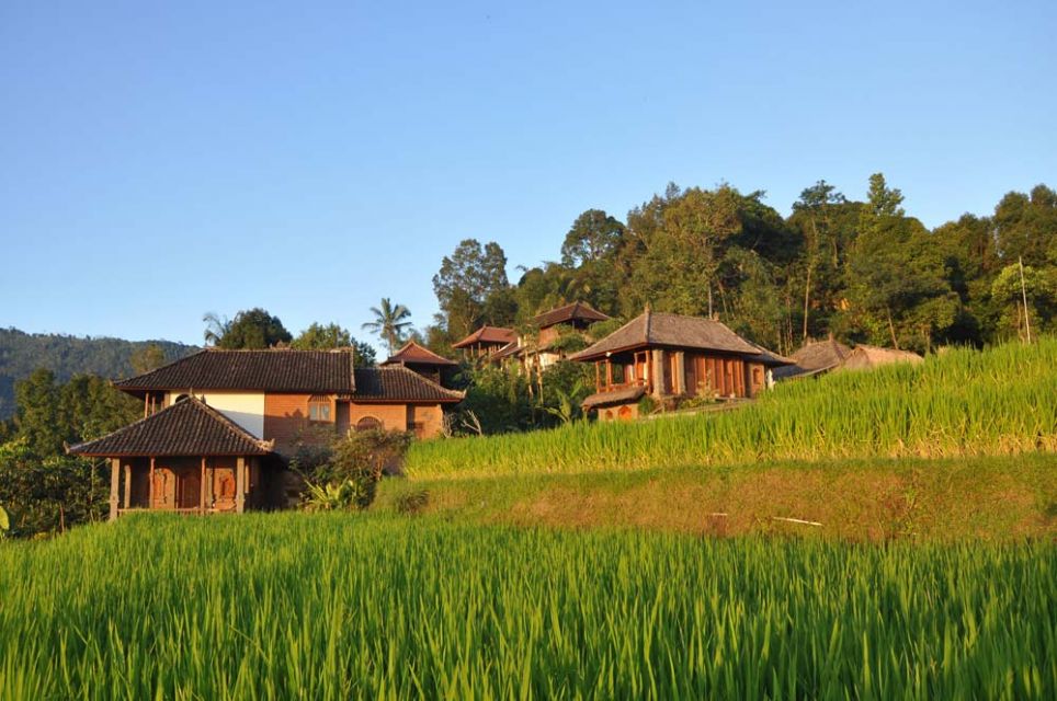 Sfeerafbeelding dimsum reizen indonesi bali ecolodge in munduk