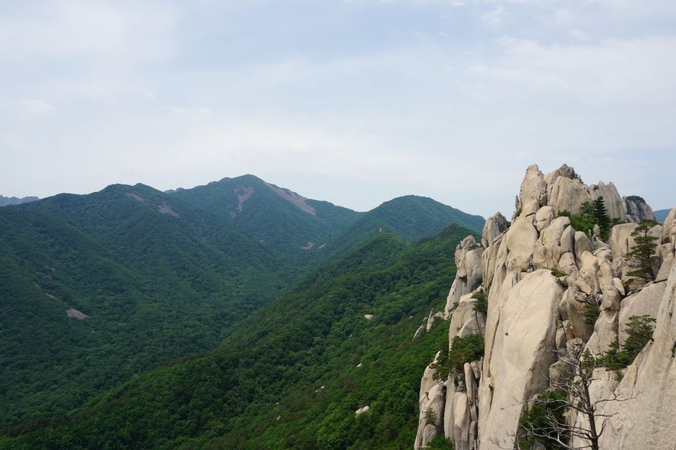 Sfeerafbeelding dimsum reizen naar het seoraksan nationaal park zuid korea individuele rondreis