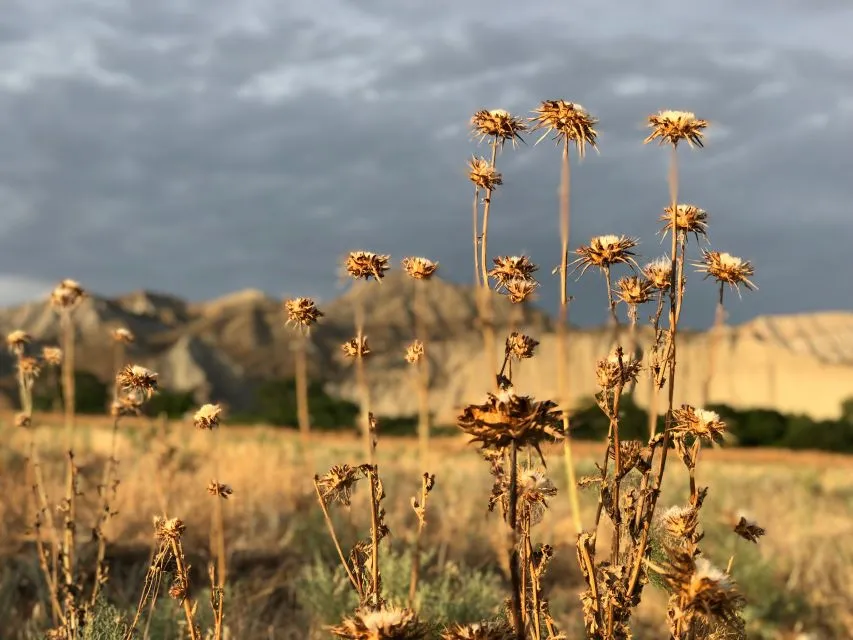 Sfeerafbeelding media image 45662