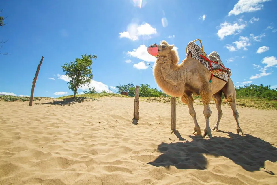Sfeerafbeelding shutterstock tottori zandduinen