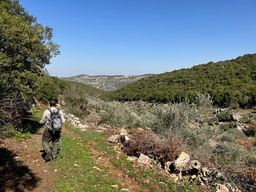 Sfeerafbeelding aljoun wandeling dimsum reizen 2