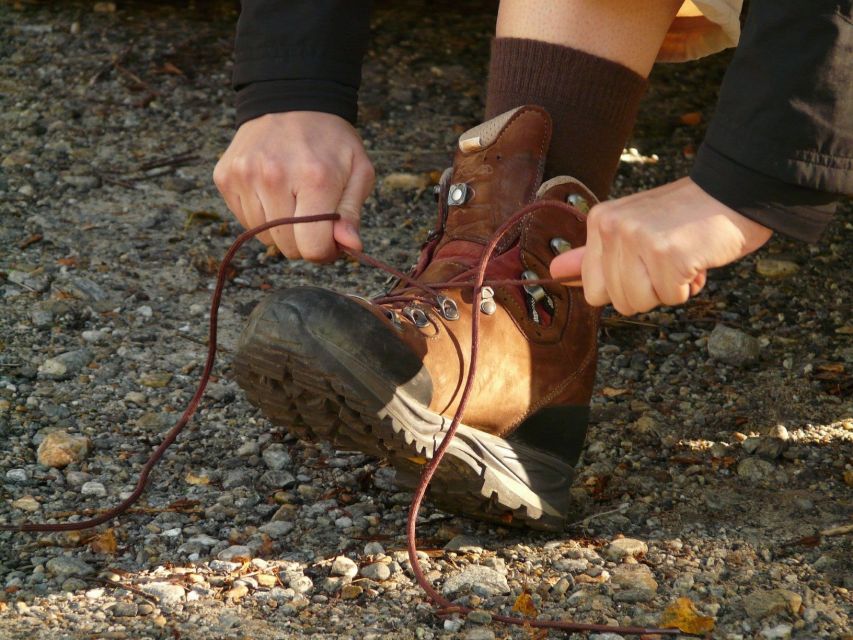 Sfeerafbeelding baltische staten litouwen baltic forest trail wandelen