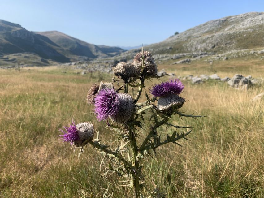 Sfeerafbeelding bosnie herzegovina wandelreis