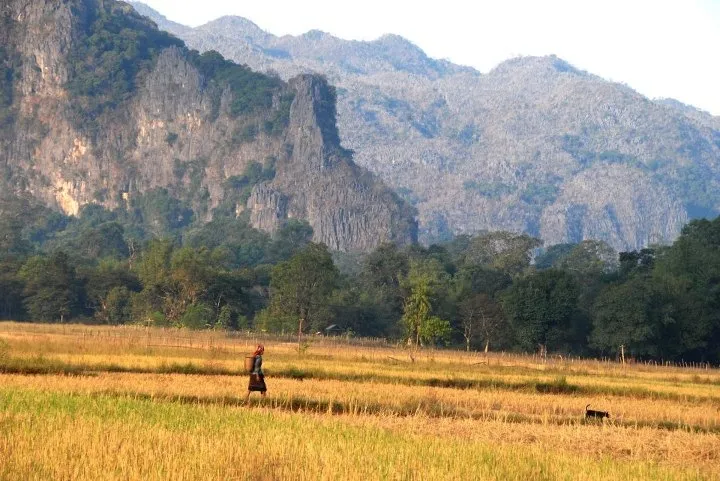 Sfeerafbeelding laos-treinreis-dimsum-reizen