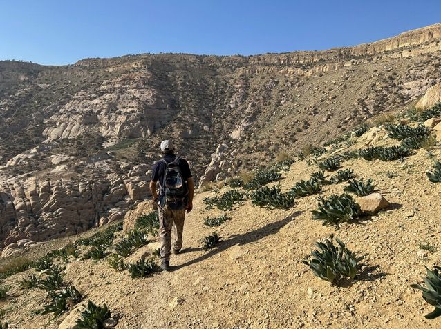 Sfeerafbeelding jordanie dana 2