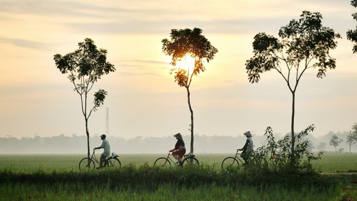 Sfeerafbeelding rondreis java bali alternatief