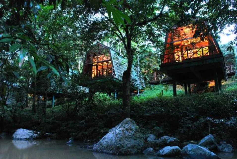 Sfeerafbeelding tabin wildlife resort sabah borneo maleisi dimsum reizen